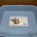 KittyGoHere Senior Cat Litter Box 1 Pack, Large Blue Low Entrance Kitty Litter Box, Sized for Cats Comfort, Perfect for Senior and Arthritic Cats, Made in USA