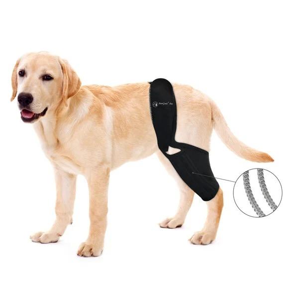 BAO GUAI PET Dog Elbow Brace for Pet Elbow and Shoulder Support for Elbow Arthritis, Dysplasia, Elbow Calluses, Elbow Brace for Front Leg Dog Elbow Protector for Pets Elbow Dysplasia