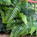 6FTx12FT, UV Resistant Artificial Ivy Grass Wall Boxwood Plant Roll