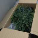 3FT Artificial Cedar Topiary Tree with Pot, Set of 2 Fake Evergreen Tree for Indoor Home Christmas Decor Outdoor Garden Porch Decor