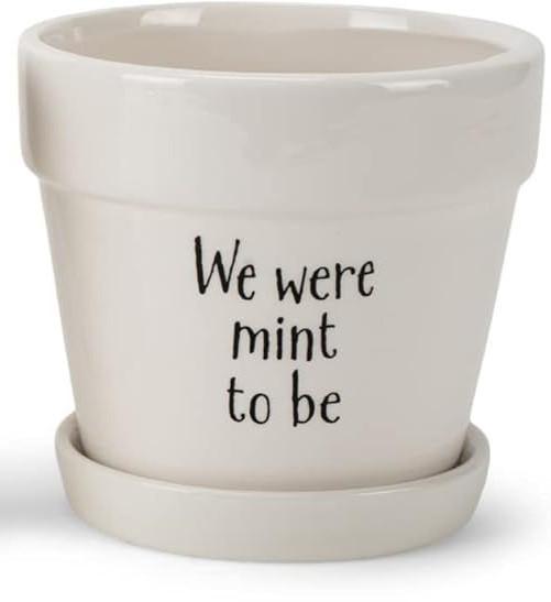 We Were Mint to Be White 4.5 Inch Ceramic Flower Pot Planter with Saucer 