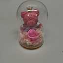 Preserved Rose Flowers Gifts for Her, Real Forever Rose in Glass Dome with Adorable Bear for Girlfriend,Mom,Wife,Grandma on Birthday Anniversary Valentine's Day (Pink)