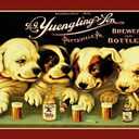 Yuengling & Son Ale and Beer Dogs Vintage Look Custom Metal Signs 8 x 12 - Bar Cafe Yard Signs House Signs
