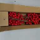 RECUTMS 5PCS Christmas Red Berry Stems, Artificial Burgundy Berry Picks for Christmas Tree Decorations, Crafts, Wedding, Holiday Home Decor