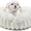 Small Cat Beds for Indoor Cats - Washable Round Kitten Bed, Cute Pumpkin Shape, Comfy Sleeping for Puppy, Small Dogs, Kitty - 19 Inch, Cream