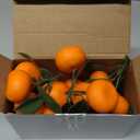 WILLBOND 7 Clusters Artificial Mini Orange Simulation Decorative Tangerine Kitchen Table Fake Orange Realistic Artificial Fruit Bowl Tray Faux Fruit for Home Party Kitchen Festival Decor