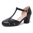 Women's T-Strap Block Heel Pumps, Ankle Buckle Closure, Classic Cut Out Round Toe Dress Shoes Matte Black 41 - US 9