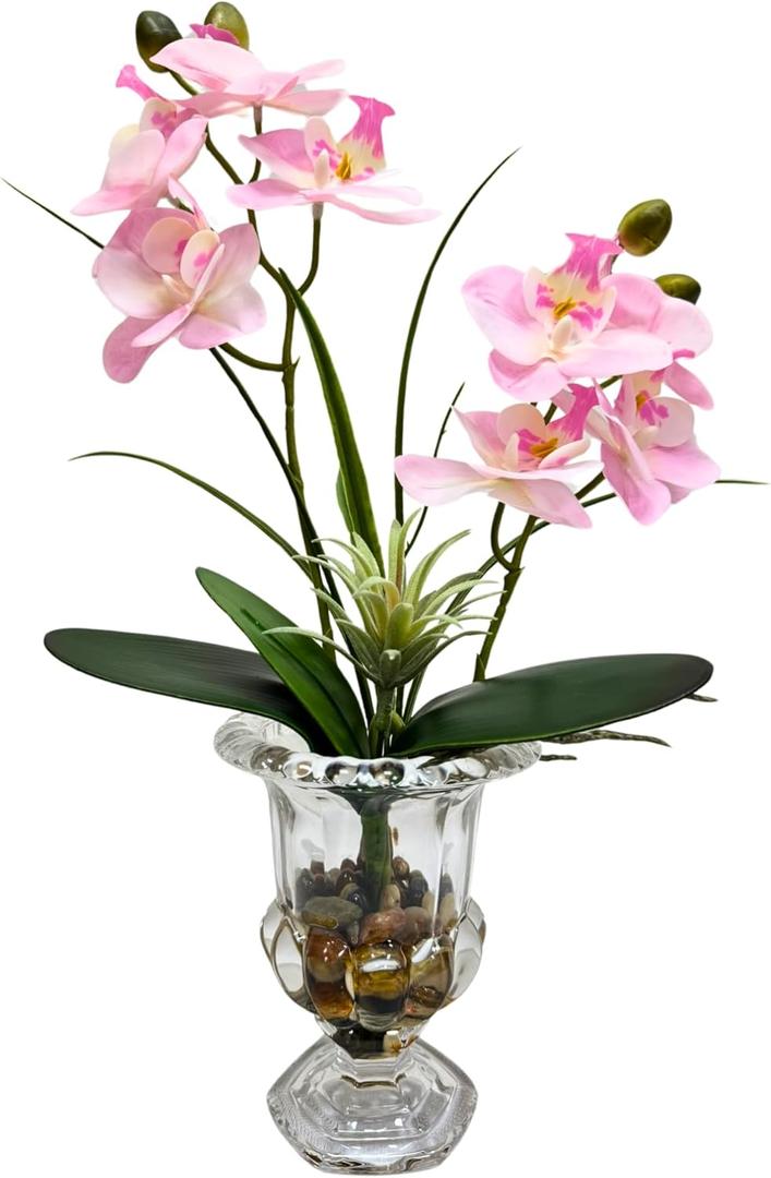 Artificial Pink Orchid Flowers in Glass Vase Phalaenopsis Flowers Potting and Fake Fleshiness Ornament for Home Bathroom Office Table Centerpiece Room Decorations