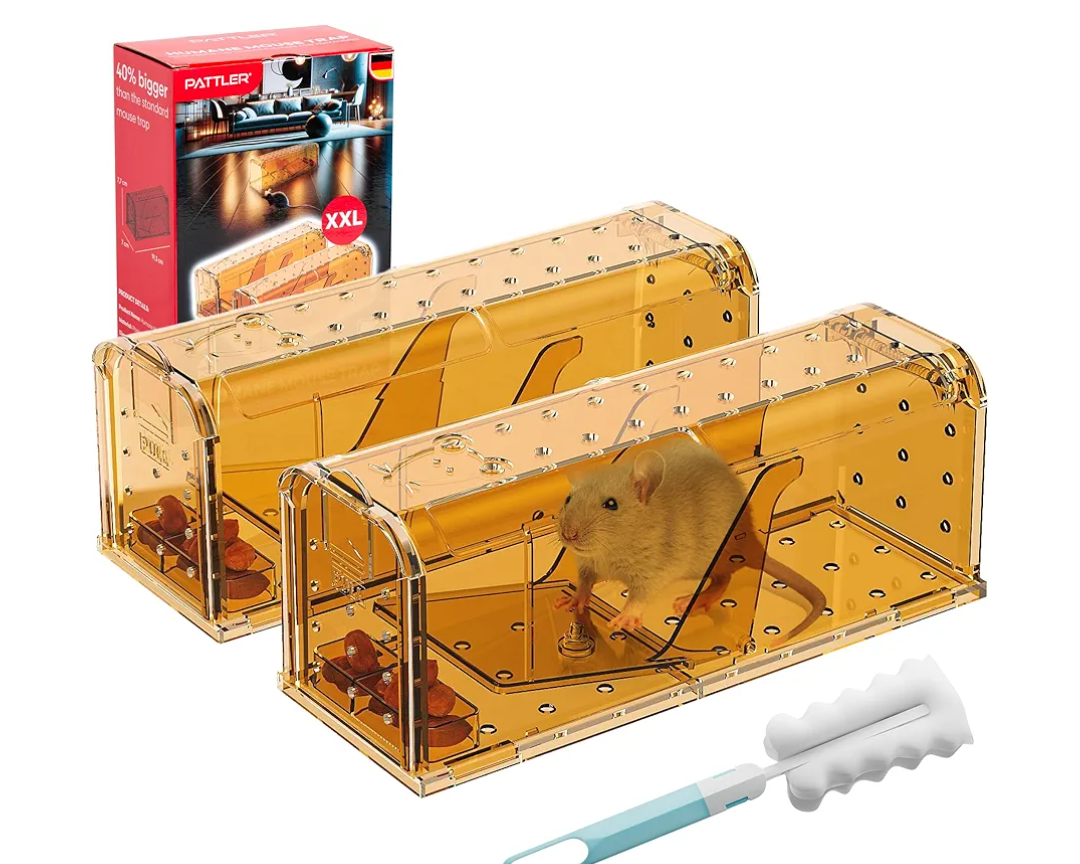 PATTLER® | New Large Humane Mouse Trap for Indoor and Outdoor Home | Mechanical Reusable Live Mouse Traps Catch and Release Mice from Garden, Garage, Attic, Inn, Hotel | Orange | Pack of 2