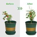 10 PCS Stackable Twig, Stackable Plant Support Stakes, Monstera Plastic Support Structures for Indoor & Outdoor Plants, Potted Plants, Flower Other Climbing Plants(Green, 10 Pack, 11."L)