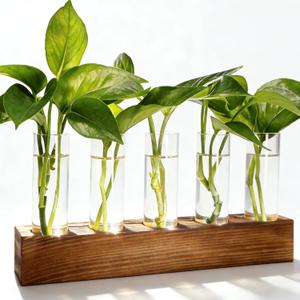 Plant Propagation Station, Plant Terrarium with Wooden Stand, Plants Pots for Hydroponics, Small Birthday Gardening Gifts for Women Mom Plants Lovers Unique - 5 Glass Test Tubes Vases