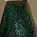 Jutom 100 Pcs 25 Inch Artificial Palm Leaves Decor Large Tropical Faux Plants Plastic Fronds Fake Palm Branches Tree Leaves for Sunday Tree Vase Jungle Beach Party Wedding Decoration