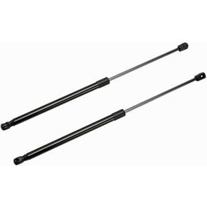 Rear Tailgate Lift Supports Shock Struts Compatible with Rogue Sport 2017 2018 2019 2020 2021 17 18 19 20 21 Sport Utility Replace 904506MA0A(2-PC Set)