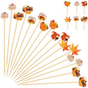 Set of 20 Pack Thanksgiving Cocktail Picks