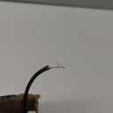 Onforu 100w Dusk to Dawn Outdoor Lighting,11000LM Led Outdoor Light from Dusk Till Dawn,Super Bright Flood Light,IP66 Waterproof Exterior Security Black Light Fixture,3 Heads Photocell for Garage,Yard