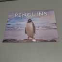 Penguin Calendar 2026 Wall Monthly Penguins Gifts For Penguin Lovers Women Men | American Made In The USA