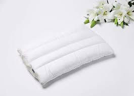 Pillows 2 Pack 17x25