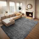 Ophanie 8x10 Area Rugs for Living Room, Upgrade Non-Slip Fluffy Soft Large Shag Bedroom Carpet, Grey Big Indoor Thick Nursery Rug, Gray Carpets for Boy and Girls Room Dorm Home Decor Aesthetic