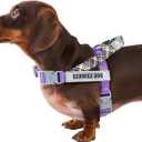 Service Dog Vest, No-Pull Service Dog Harness with 4 PCS Reflective Patches, Dog Vest Harness with Handle, Pet Harness for Small Medium Large Dogs in Training (Purple, S)