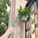 Watering Can Device for Watering Hanging Plant Basket Hard to Reach High Plant Waterer Sprayer 1 Gallon (Green 4L)