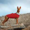Lelepet Warm Dog Coat - Reflective Waterproof Fleece Vest with Adjustable Buckle Hook & Loop, Windproof Winter Jacket Dog Coats for Large Dogs, Red, L