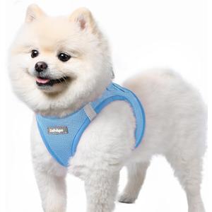 rabbitgoo Small Dog Harness, Step-in Soft Mesh Puppy Vest with Safety Buckle, Breathable Reflective Pet Harness for Small Sized Dogs, Blue S (S(Chest:15.1"-16.5"))