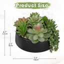 DILATATA Artificial Succulent Plants in Pot 5.5 Inch Fake Succulents Arrangement Potted Plant in Black Ceramic Planter Bowl for Home Office Desk Shelf Living Room Bedroom Bathroom Decor