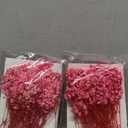 Fumete 100 Pcs Mini Dried Babys Breath Flowers Pink 5600+ Babys Breath Bulk Bouquet Natural Gypsophila for Wedding Flower Wreaths Baby Shower Bridal Shower Home Vase Decor Card Party DIY, 2-4 Inch