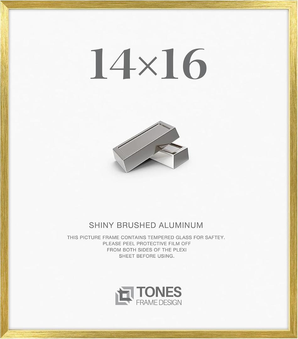 TONES FRAME DESIGN 14x16 Brush Gold Aluminum Frame with Plexiglass