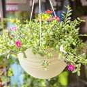 7 Pack 8 Inch Plastic Self-Watering Hanging Planters,Colorful Garden Flower Plant Pot Container Baskets with Drainer Chain for Indoor Outdoor Use,7 Colors