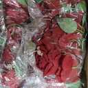 50 Pcs Artificial Silk Roses Bulk with Long Stem,Red
