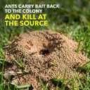 Raid Max Liquid Ant Bat; Kills Ants Where They Breed, For Indoor and Outdoor Use; 4 Bait Stations