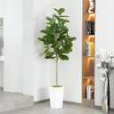 Artificial Fiddle Leaf Fig Tree 6ft - Realistic Tall Fake Plants for Office Home Living Room Bedroom Decor Indoor Outdoor - Green Large Silk Faux Floor Plant with Pot