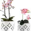 EFISPSS Orchid Pot with Holes, 5 Inch Ceramic Plant Pots with Drainage Holes and Tray, Promoting Air Circulation and Drainage, Indoor/Outdoor White Flower Pots 1 Pack