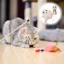 Halloween Cat Toy Set 2-Pack Plush Ghost and Skull Interactive Teething Toys for Indoor Cats Soft Wear-Resistant Playthings to Relieve Anxiety