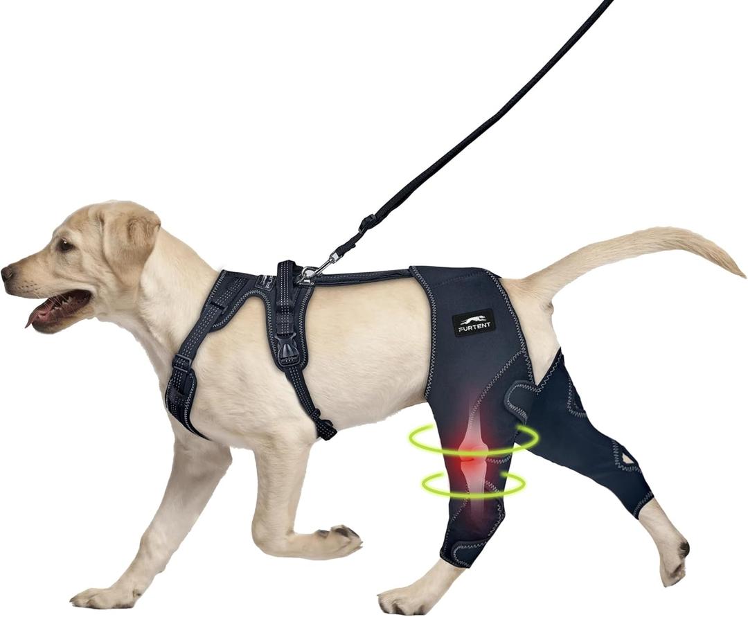 Dog ACL Knee Brace, Support for Pets with CCL, Cruciate Ligament Injuries - Keeps Knee Joints Warm and Stable, Upgraded Adjustable Dogs Rear Leg Wrap Harness Set for Leg Wound Care Prevents Licking (XL (Extended) (fits thigh: 15-16 in))