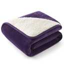 Bedsure Waterproof Dog Blankets for Small Dogs - Small Cat Blanket Washable for Couch Protection, Sherpa Fleece Puppy Blanket, Soft Plush Reversible Throw Furniture Protector, 25"X35", Eggplant