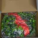 Canlierr 6 Pcs 8 Inch Christmas Kitchen Cabinet Wreaths with 31.5inch Ribbon Small Mini Christmas Wreath for Window Door Chair Wall Xmas Decoration(Fresh)