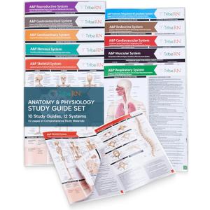 TribeRN Anatomy & Physiology Study Guides - Set of 10 Human Anatomy Guides for Nursing Students, School, College, Medical Professions - 12 Topics on Body Systems w/ Reference Charts & Terminology