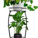 Tall Plant Stand Indoor Outdoor, 2Tier Metal Potted Flower Pot Stand, Heavy Duty Iron Planter Shelves Rack Anti-rust, 27" (Black)