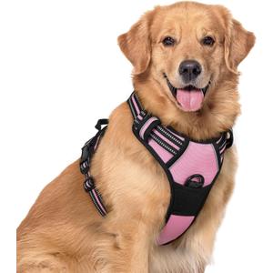 rabbitgoo Dog Harness No Pull with 2 Leash Clips, Adjustable Soft Padded, Reflective Oxford No Choke Pet Vest with Easy Control Handle for Dogs, Pink, XL