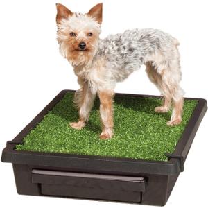 PetSafe Pet Loo Portable Dog Potty - Pet Toilet Alternative for Puppy Pads - Small - Perfect for House Training - Easy-to-Clean Grass Mat