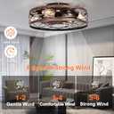 SHLUCE Small Fandelier Caged Ceiling Fan with Light, Farmhouse Low Profile Flush Mount Ceiling Fans with Lights and Remote, Rustic Bladeless Ceiling Fan with Light for Kitchen, Bedroom, Living Room