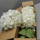 Waipfaru 21" Real Touch White Hydrangea Artificial Flowers with Long Stem & Leaves, Full Latex Faux Hydrangea Flowers for Home Decor Party Floral Arrangements Wedding Bouquets Centerpieces, 3Pcs