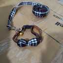 Elegant little tail Dog Collar with Bow, Bowtie Dog Collar and Leash, Adjustable Fall Dog Collar and Leash Dogs, Small