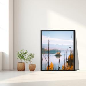 Picture Frame 32x25"