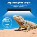 T5 10.0 UVB Reptile Light Fixture, 24W 22" T5 UVA/UVB Fluorescent Tube Bulb for Bearded Dragon, Tortoise, Leopard Gecko, Desert Lizards