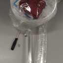 Acrylic Hat Display Stand 8-16 inch Adjustable, Clear Domed Hat Stand Rack for Baseball Cap Cowboy, Wig Holder Stand Organizer for Dresser Closet Vendors (Adult styles, 1)