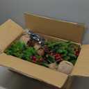 2 Pack 24 Inch Tabletop Small Christmas Trees with Lights Timer Realistic-Feel PE Pine 2 Ft Artificial Mini Christmas Tree Battery Operated Red Berries Pinecone Christmas Decoration Indoor Xmas