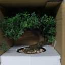 Artificial Bonsai Tree Juniper Faux Plants Indoor Fake Plants Decor with Ceramic Pots for Home Table Office Desk Bathroom Shelf Bedroom Living Room Farmhouse Decorations